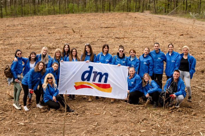 fotografija_dm_zasadi drvo